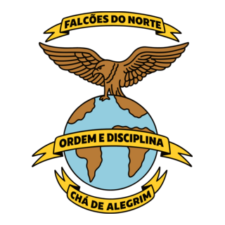 CLUBE DESPORTIVO FALCÕES DO NORTE DE SÃO VICENTE Logo PNG Vector