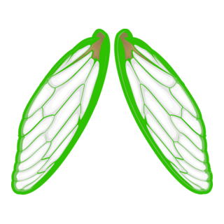 Cykadas icon Logo PNG Vector