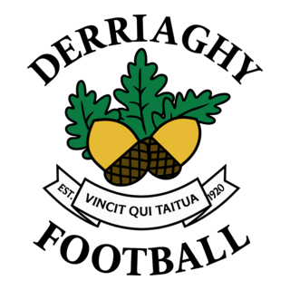 DERRIAGHY CRICKET CLUB FC Logo PNG Vector