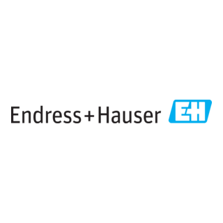 Endress+Hauser Group Logo PNG Vector