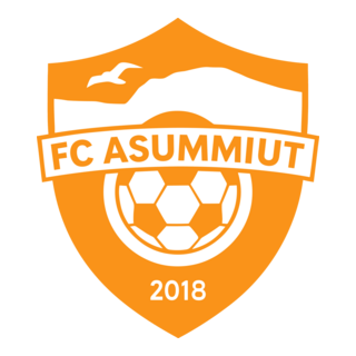 FC ASUMMIUT Logo PNG Vector