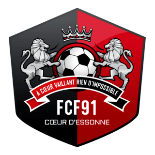 Football Club Fleury 91 Cœur d'Essonne Logo PNG Vector