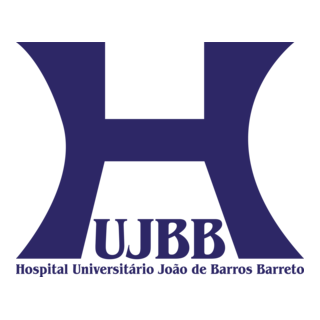 Hospital Barros Barreto Logo PNG Vector