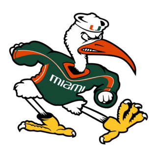 hurricanes miami Logo PNG Vector