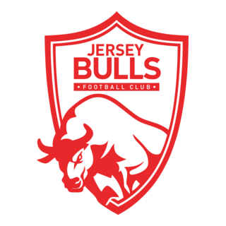 Jersey Bulls Football Club Logo PNG Vector
