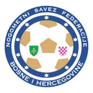 Nogometni/Fudbalski savez Bosne i Hercegovine Logo PNG Vector