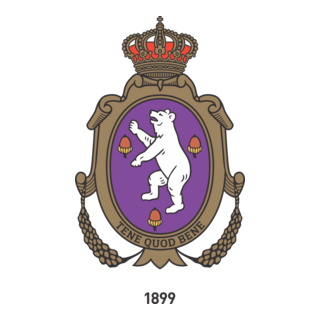 Royal Beerschot Athletic Club Logo PNG Vector