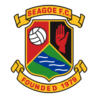 Seagoe Football Club Logo PNG Vector