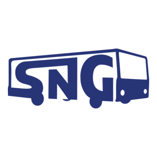 SNG Logo PNG Vector