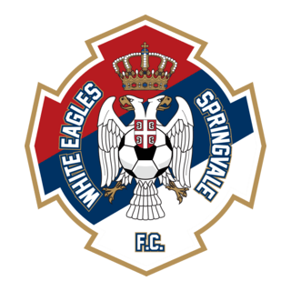 Springvale White Eagles Football Club Logo PNG Vector