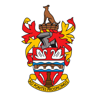 Staines Town Football Club Logo PNG Vector