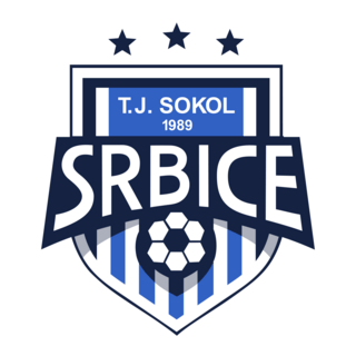 TJ Sokol Srbice Logo PNG Vector