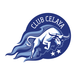 Toros del Celaya Logo PNG Vector