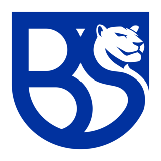 Union Brescia Logo PNG Vector