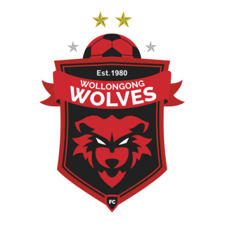 Wollongong Wolves FC Logo PNG Vector