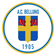 AC Belluno Logo PNG Vector
