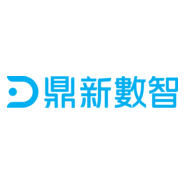 Data Systems Co., Ltd. Logo PNG Vector