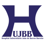 Hospital Barros Barreto Logo PNG Vector
