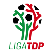 Liga TDP Logo PNG Vector