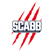 Saint-Chamond Andrézieux-Bouthéon basket Logo PNG Vector