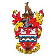 Staines Town Football Club Logo PNG Vector