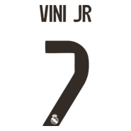 VINI Logo PNG Vector