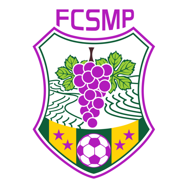 Associação Futebol Clube de Santa Marta de Penagui Logo PNG Vector
