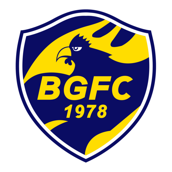 Barra do Garças FC 2010 Logo PNG Vector