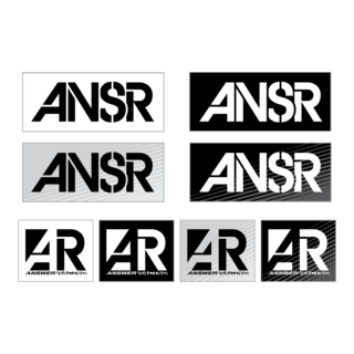 Answer Racing 2014 Logo PNG Vector