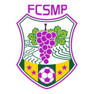 Associação Futebol Clube de Santa Marta de Penagui Logo PNG Vector