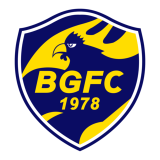 Barra do Garças FC 2010 Logo PNG Vector