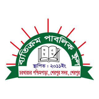 Baticrom Public School Logo PNG Vector