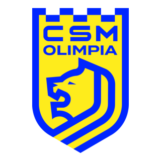 CSM Satu Mare Logo PNG Vector