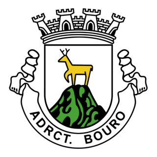 DESPORTIVA RECREATIVA CULTURAL TERRAS BOURO Logo PNG Vector