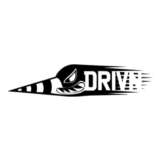 DR/VN Logo PNG Vector