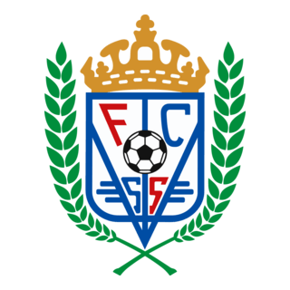 FUTEBOL CLUBE DE SÂO SILVESTRE Logo PNG Vector