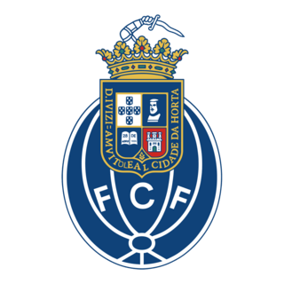 Futebol Clube dos Flamengos Logo PNG Vector