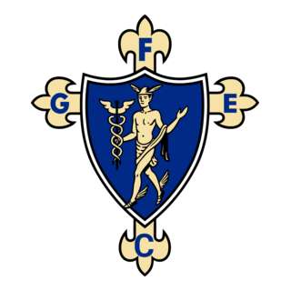 GF COMÉRCIO DE SANTARÉM Logo PNG Vector