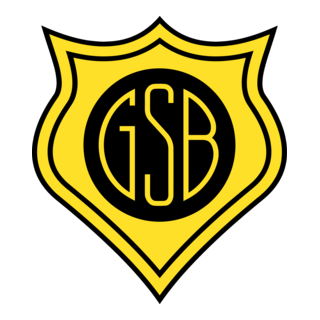 Grêmio Esportivo Bagé Logo PNG Vector