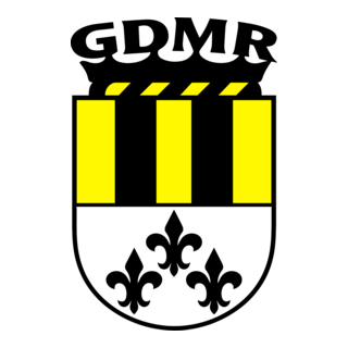 Grupo Desportivo Monte Real Logo PNG Vector