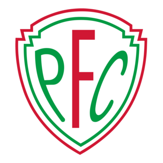 PALMEIRA FUTEBOL CLUBE (PETRÓPOLIS) Logo PNG Vector