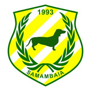 Samambaia Futebol Clube Logo PNG Vector