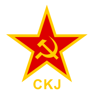 SKJ Logo PNG Vector