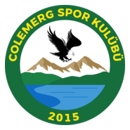 Colemergspor Logo PNG Vector