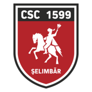 CSC Selimbar Logo PNG Vector