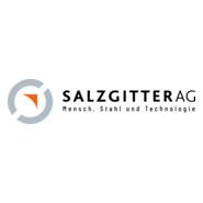 Salzgitter AG Logo PNG Vector
