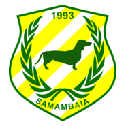 Samambaia Futebol Clube Logo PNG Vector