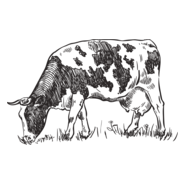 VACA LEITEIRA - DAIRY COW Logo PNG Vector