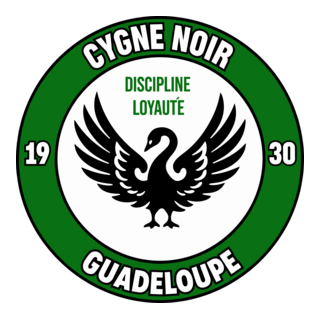 Association Sportive Cygne Noir Logo PNG Vector