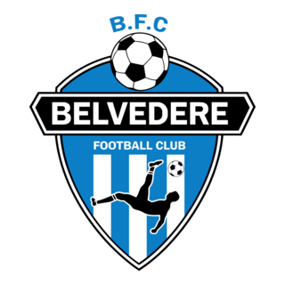 Belvedere FC Logo PNG Vector